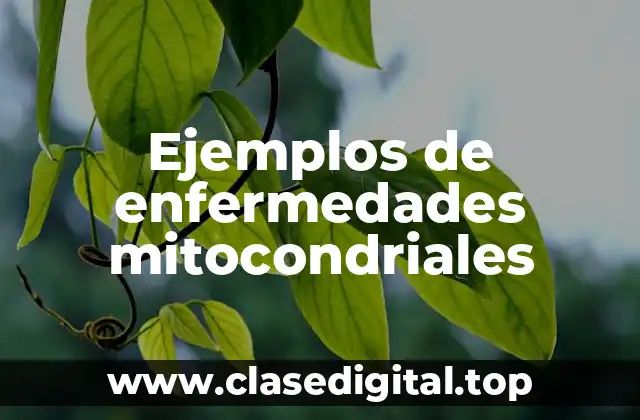 Ejemplos de enfermedades mitocondriales