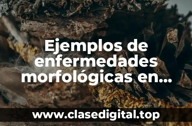 Ejemplos de enfermedades morfológicas en personas con síndrome de Down