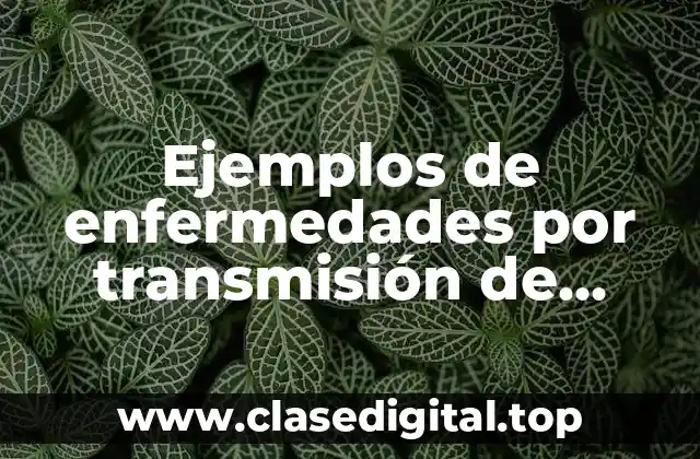 Ejemplos de enfermedades por transmisión de vector biológico
