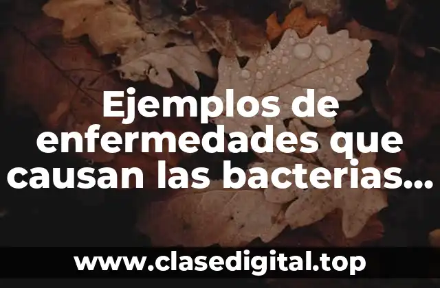 Ejemplos de enfermedades que causan las bacterias aerobias y Significado