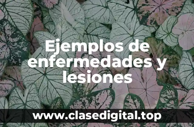 Ejemplos de enfermedades y lesiones