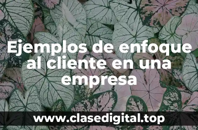 Ejemplos de enfoque al cliente