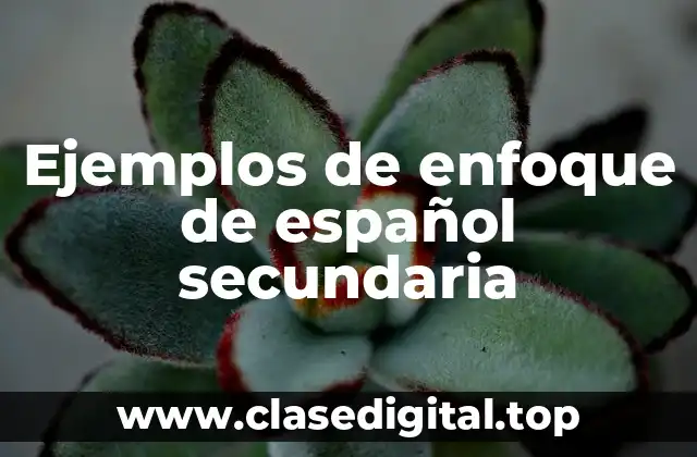 Ejemplos de enfoque de español secundaria