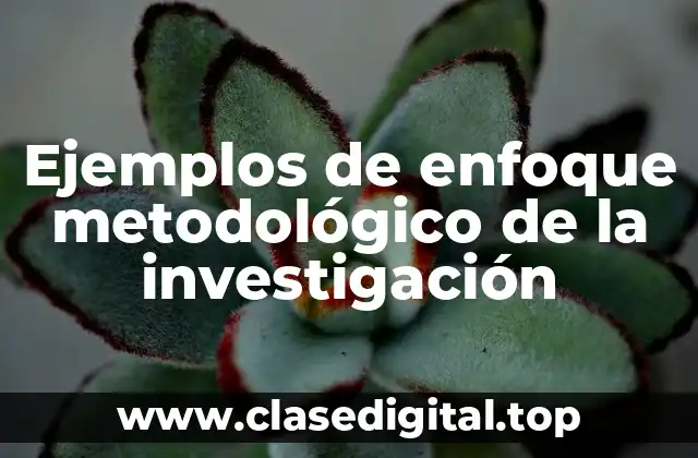 Ejemplos de enfoque metodológico de la investigación