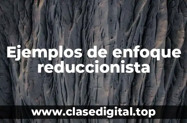 Ejemplos de enfoque reduccionista