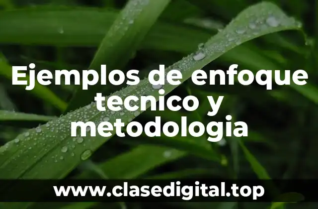 Ejemplos de enfoque técnico y metodología