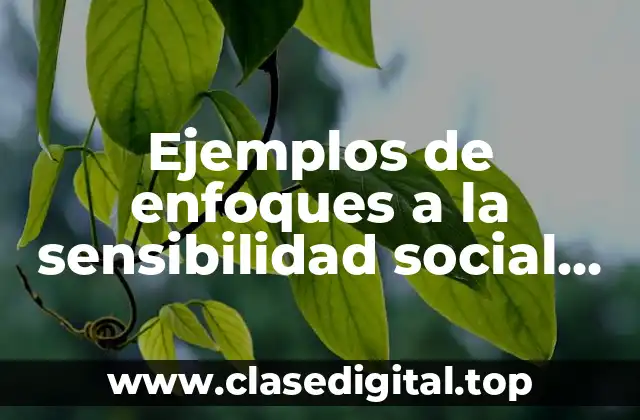Ejemplos de enfoques a la sensibilidad social corporativa