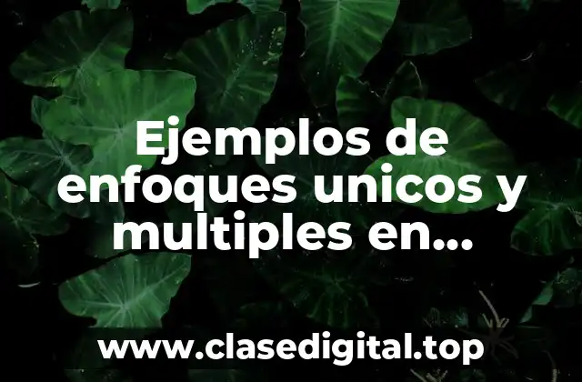 Ejemplos de enfoques unicos y multiples en intensamente