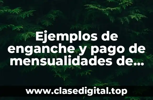 Ejemplos de enganche y pago de mensualidades de carro y Significado