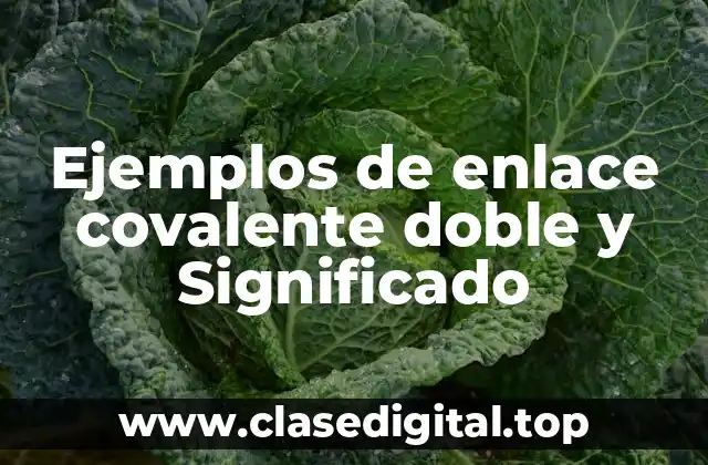 Ejemplos de enlace covalente doble y Significado