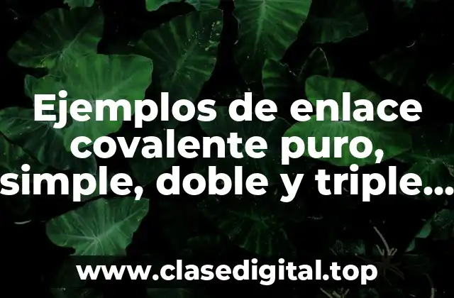 Ejemplos de enlace covalente puro, simple, doble y triple y Significado