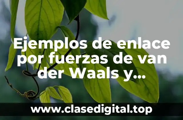 Ejemplos de enlace por fuerzas de van der Waals y Significado