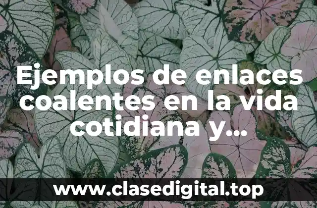 Ejemplos de enlaces coalentes en la vida cotidiana y Significado