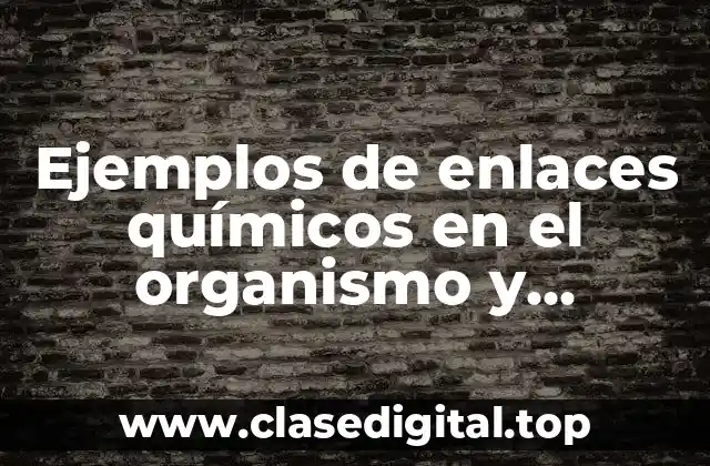 Ejemplos de enlaces químicos en el organismo y Significado