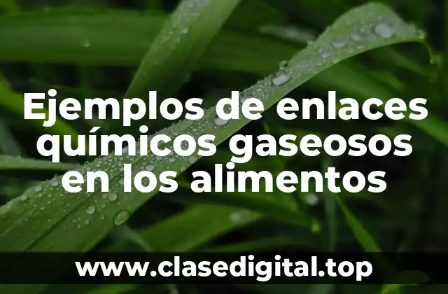 Ejemplos de enlaces químicos gaseosos en los alimentos