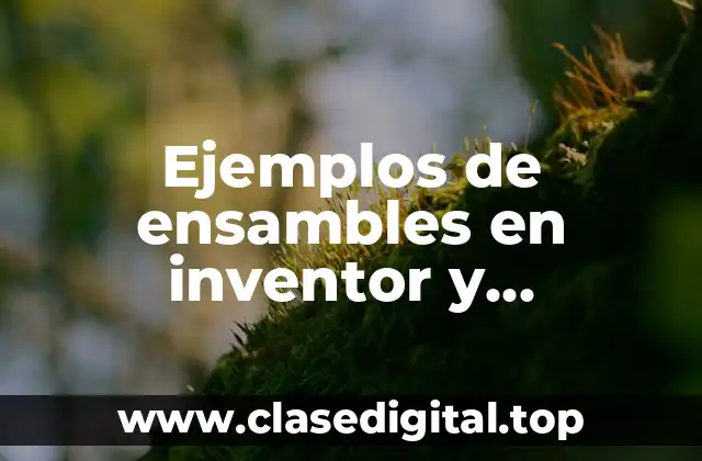 Ejemplos de ensambles en inventor y Significado