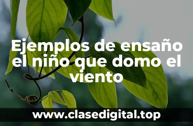 Ejemplos de ensaño el niño que domo el viento