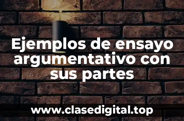Ejemplos de ensayo argumentativo con sus partes