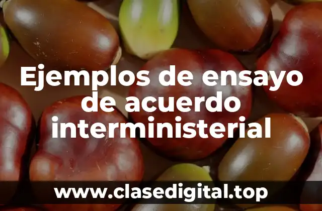 Ejemplos de ensayo de acuerdo interministerial
