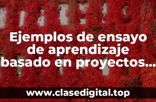 Ejemplos de ensayo de aprendizaje basado en proyectos y Significado