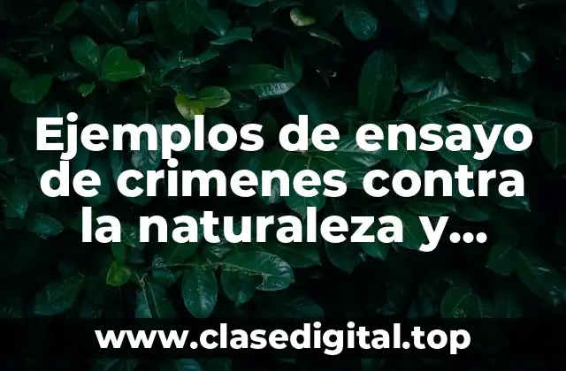Ejemplos de ensayo de crimenes contra la naturaleza y Significado