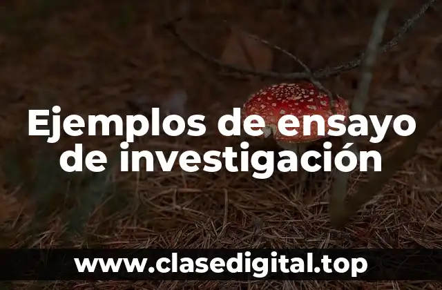 Ejemplos de ensayo de investigación
