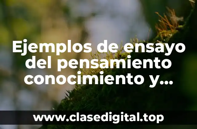 Ejemplos de ensayo del pensamiento conocimiento y realidad