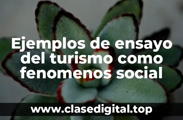 Ejemplos de ensayo del turismo como fenomenos social
