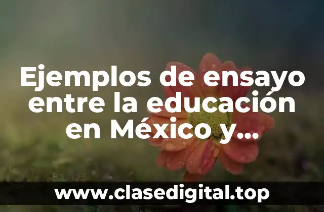 Ejemplos de ensayo entre la educación en México y Finlandia