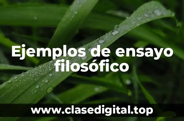 Ejemplos de ensayo filosófico