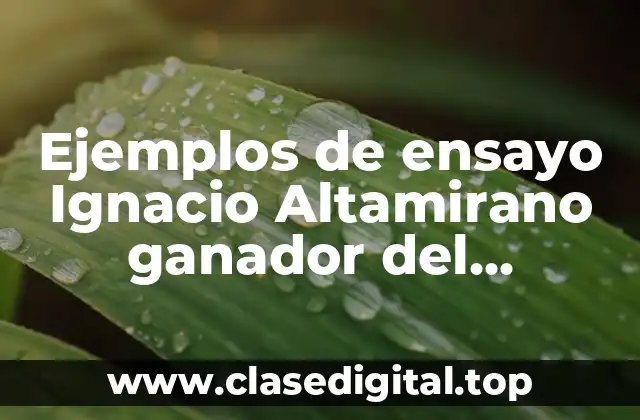 Ejemplos de ensayo Ignacio Altamirano ganador del certamen novela