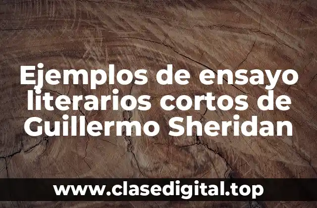 Ejemplos de ensayo literarios cortos de Guillermo Sheridan