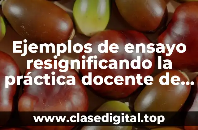 Ejemplos de ensayo resignificando la práctica docente de Cecilia Fierro