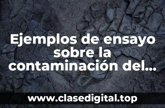 Ejemplos de ensayo sobre la contaminación del medio ambiente