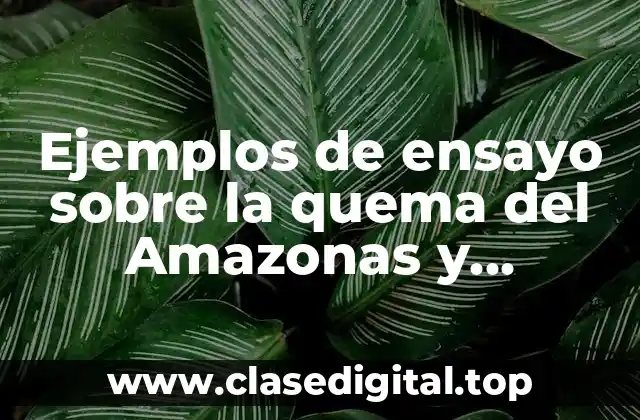 Ejemplos de ensayo sobre la quema del Amazonas