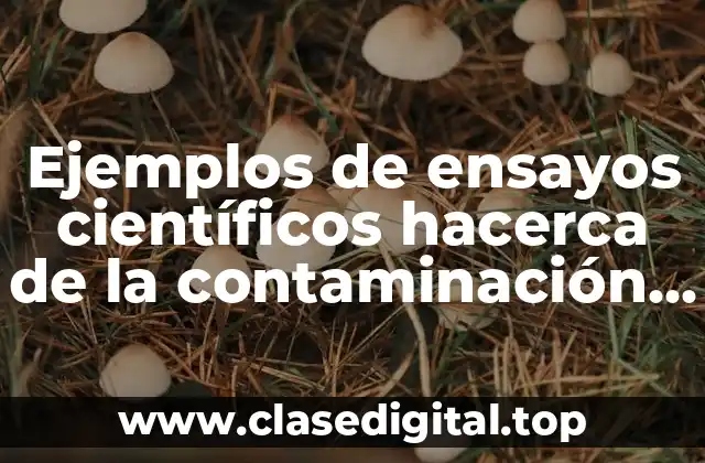 Ejemplos de ensayos científicos hacerca de la contaminación y Significado