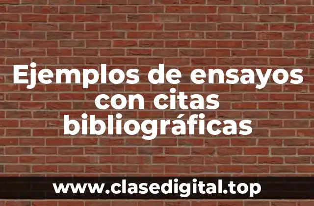Ejemplos de ensayos con citas bibliográficas