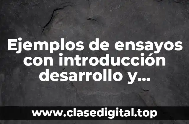 Ejemplos de ensayos con introducción desarrollo y conclusión y Significado