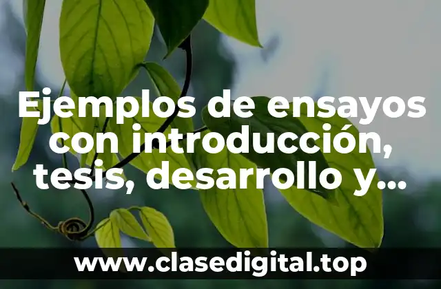 Ejemplos de ensayos con introducción, tesis, desarrollo y conclusión