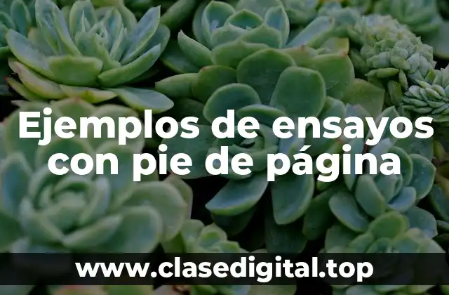 Ejemplos de ensayos con pie de página