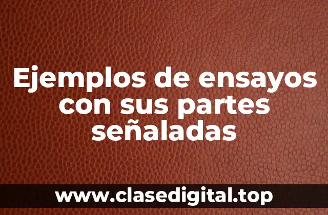 Ejemplos de ensayos con sus partes señaladas