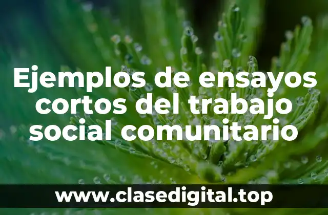 Ejemplos de ensayos cortos del trabajo social comunitario
