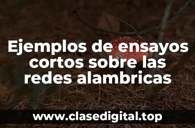 Ejemplos de ensayos cortos sobre las redes alambricas
