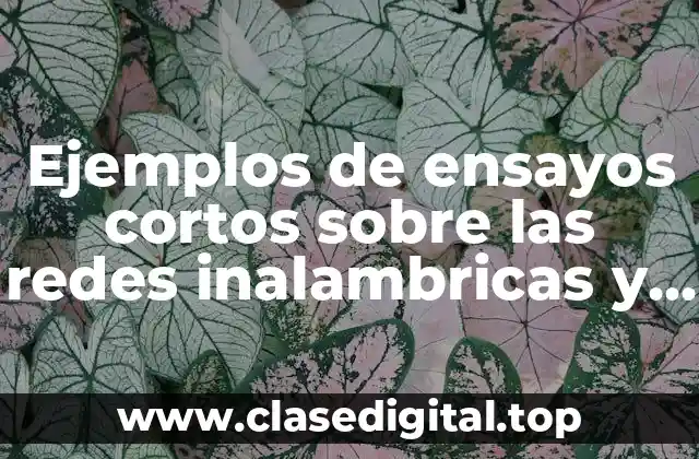Ejemplos de ensayos cortos sobre las redes inalambricas y alambricas