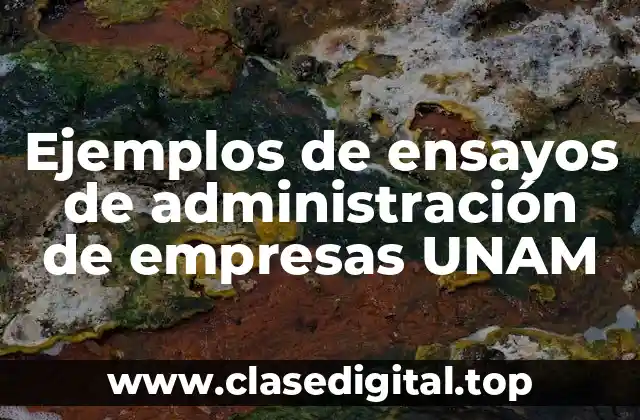 Ejemplos de ensayos de administración de empresas UNAM