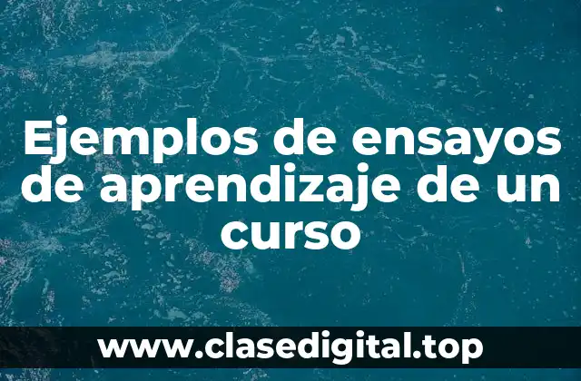 Ejemplos de ensayos de aprendizaje de un curso