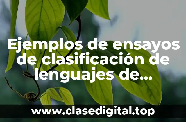 Ejemplos de ensayos de clasificación de lenguajes de programación
