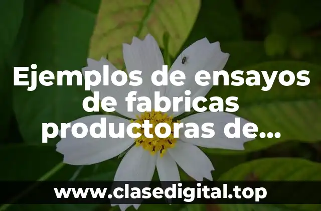 Ejemplos de ensayos de fabricas productoras de plastico