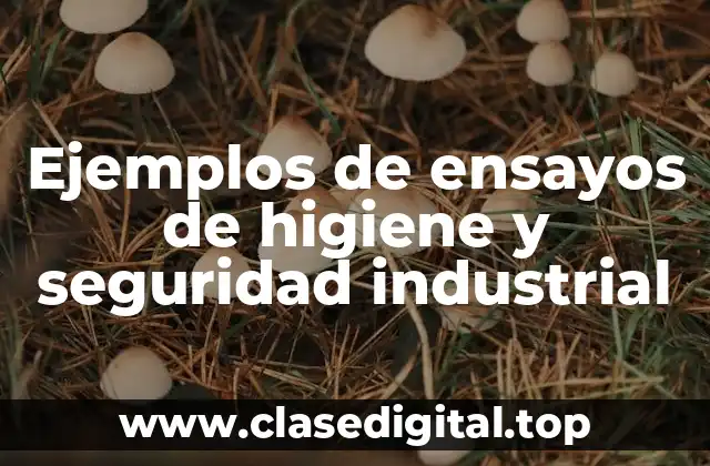 Ejemplos de ensayos de higiene y seguridad industrial