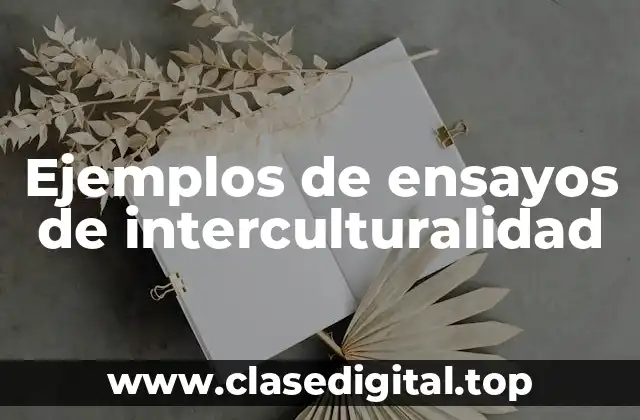 Ejemplos de ensayos de interculturalidad